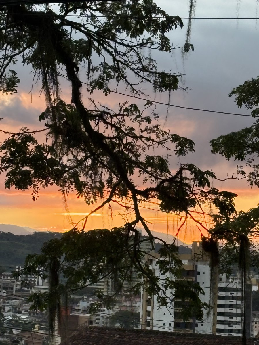 srso's tweet photo. Quinta feira o dia indo embora https://t.co/o0BNtE07Wc