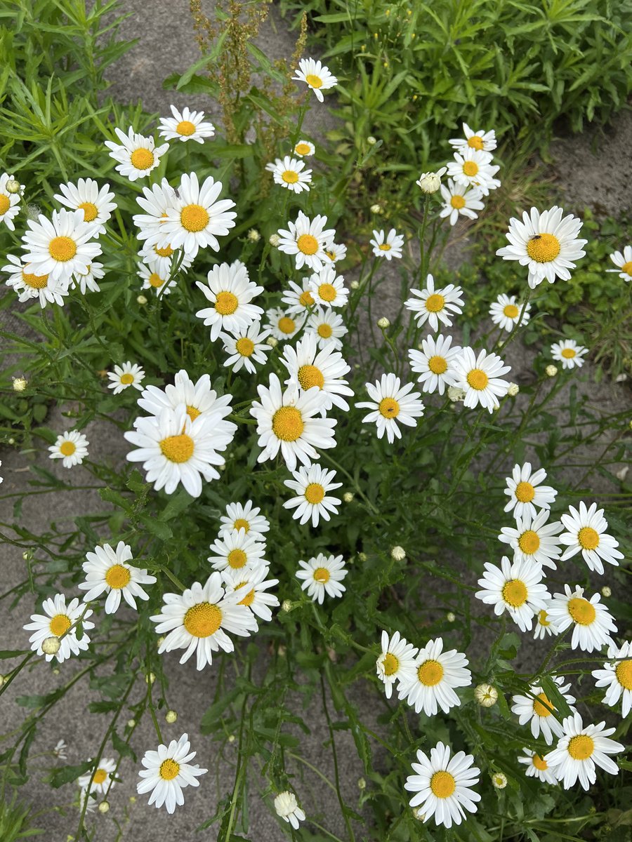 nneggs's tweet photo. https://t.co/CUiKFnYYwe