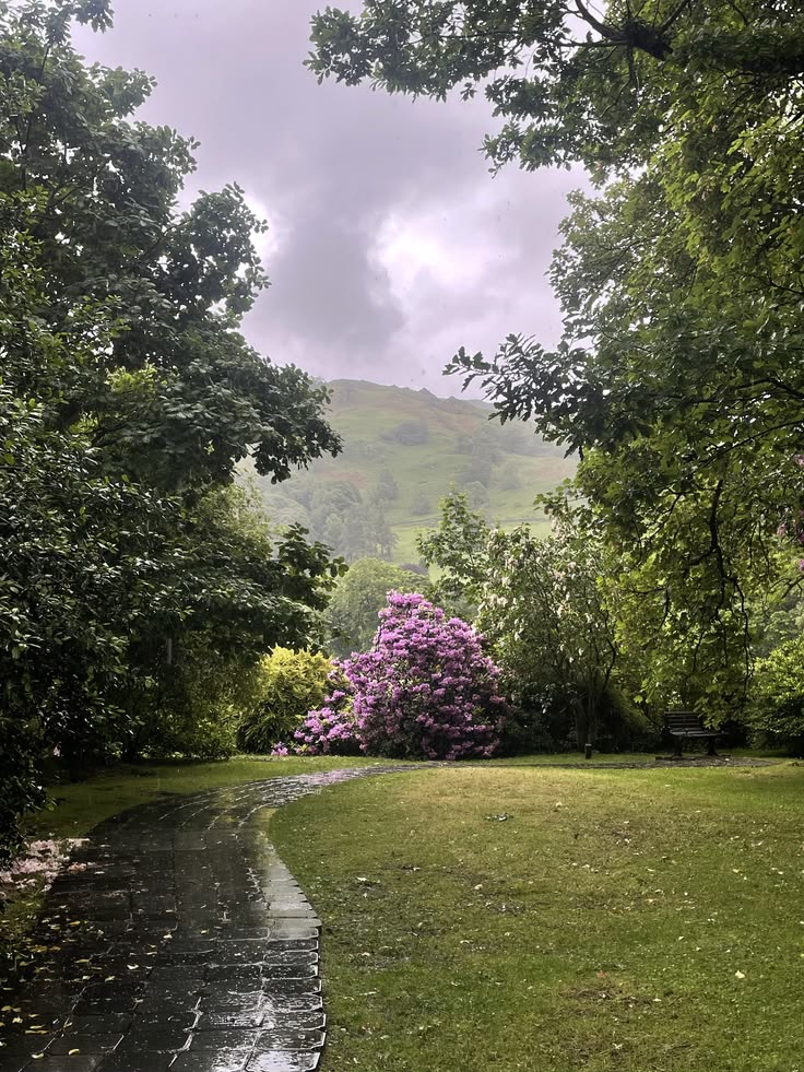 elemmiressoul's tweet photo. after the rain. https://t.co/Fnqu11HPXy