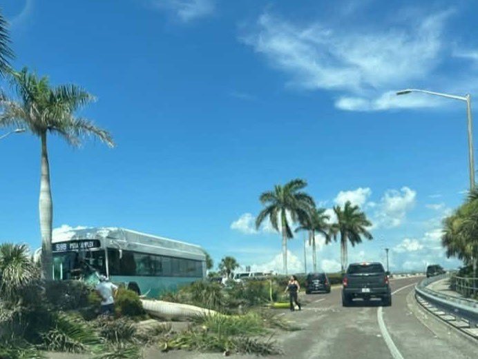 IONTB's tweet photo. Indian Rocks: Traffic crash with injuries Indian Rocks Bridge. PSTA bus collides with a tree.
#TraumaAlert https://t.co/pzqMIitsuC