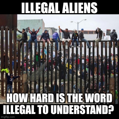 Starry_Azure's tweet photo. Everyone calling illegals migrants. https://t.co/WpytVT7pnY