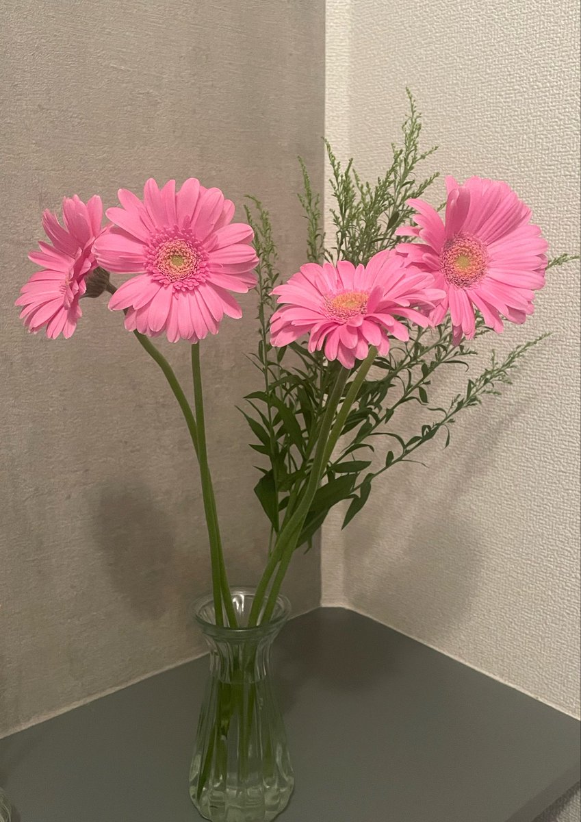 roppy1988's tweet photo. 花もヒーリングの力ある https://t.co/2n0NFrw9Hc
