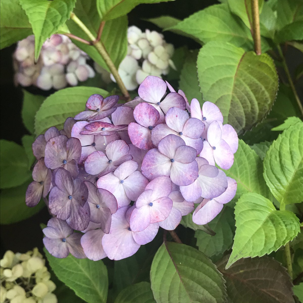un_sept's tweet photo. おはよう♪♪ https://t.co/B4hDN67Zvd