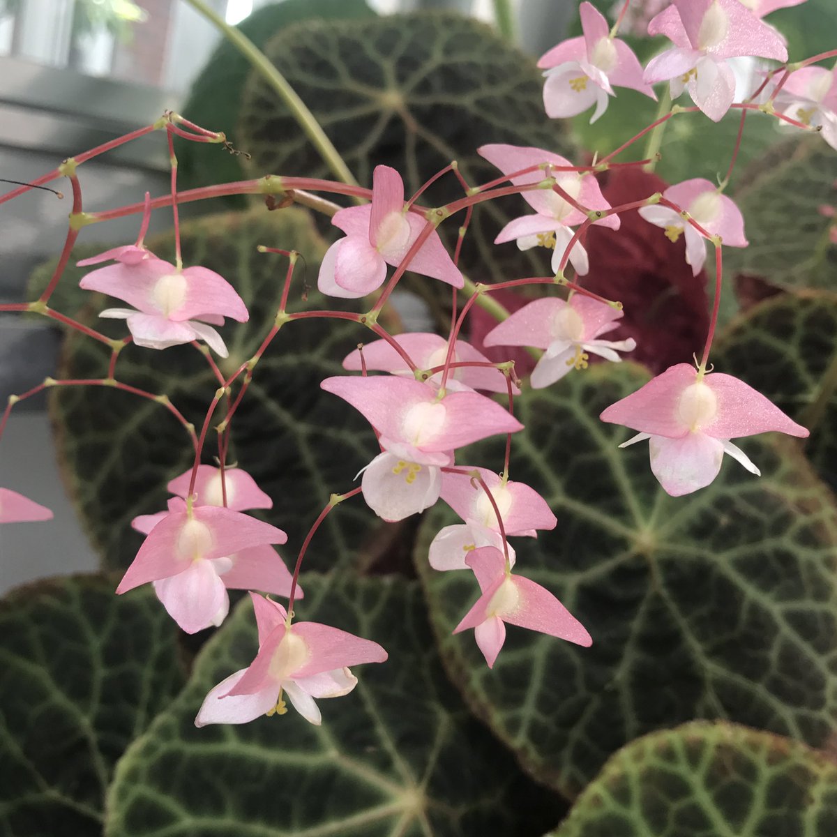 un_sept's tweet photo. おはよう♪♪ https://t.co/B4hDN67Zvd