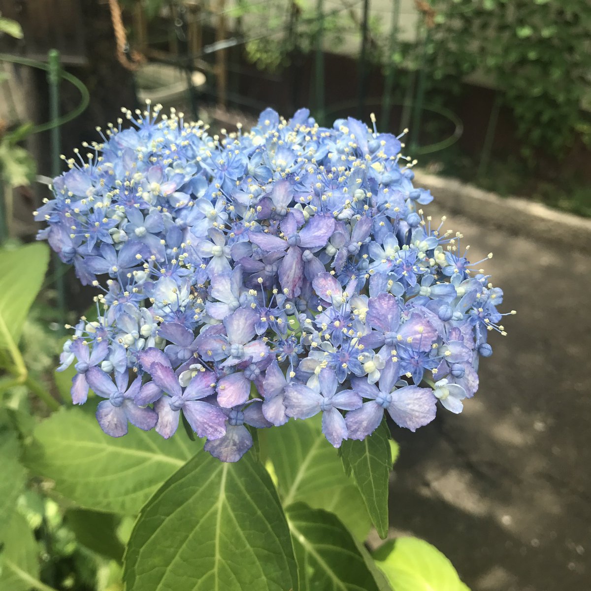 un_sept's tweet photo. おはよう♪♪ https://t.co/B4hDN67Zvd