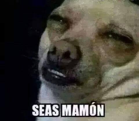 snufleik's tweet photo. @charly211536311 @CerebrosG 🤣🤣🤣 https://t.co/x2PwTVSkdH