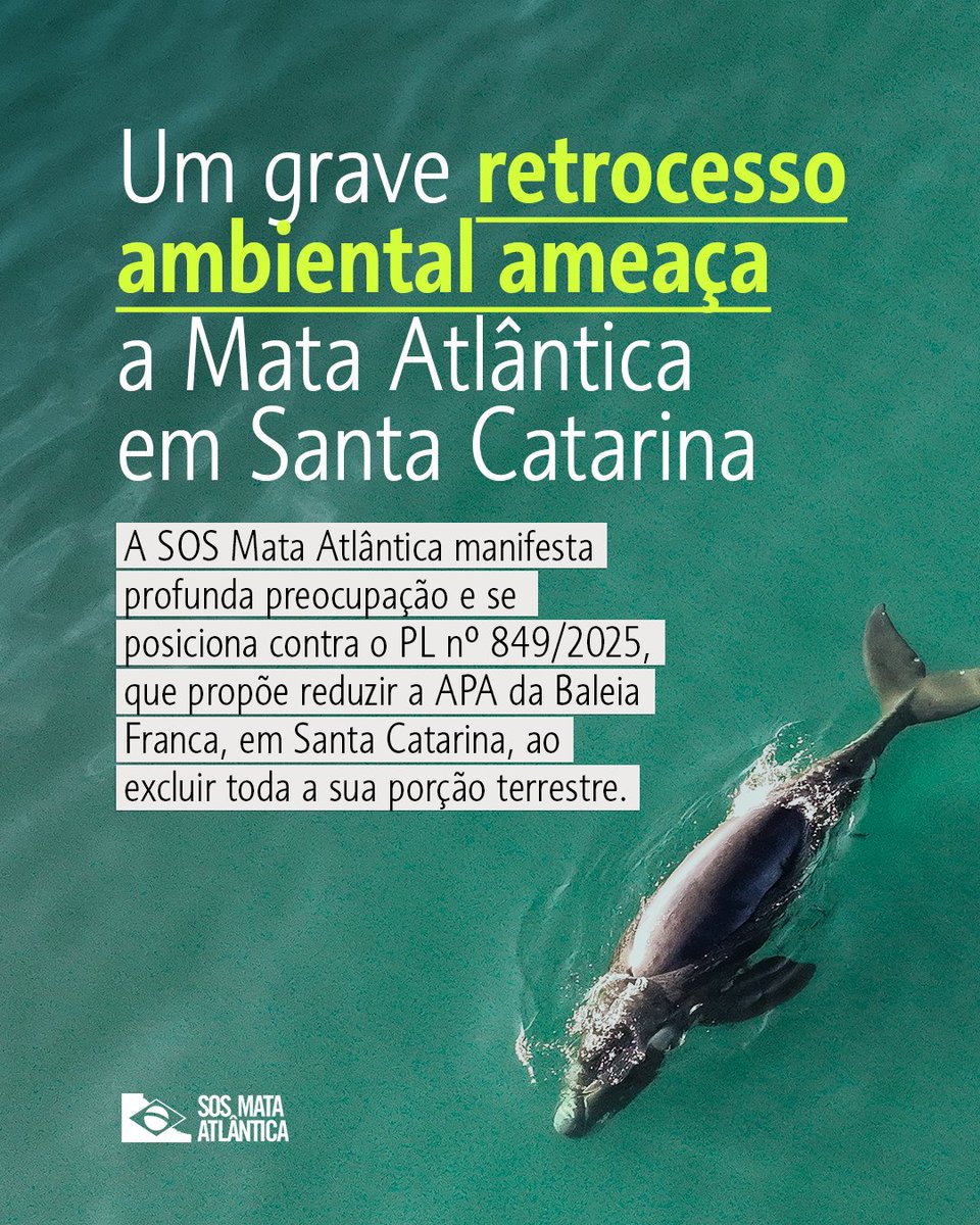 sosma's tweet photo. A SOS Mata Atlântica manifesta preocupação e posiciona-se contra o PL nº 849/2025, que propõe reduzir a APA da Baleia Franca por meio da exclusão de toda a sua porção terrestre. https://t.co/NJUpZ3caDz