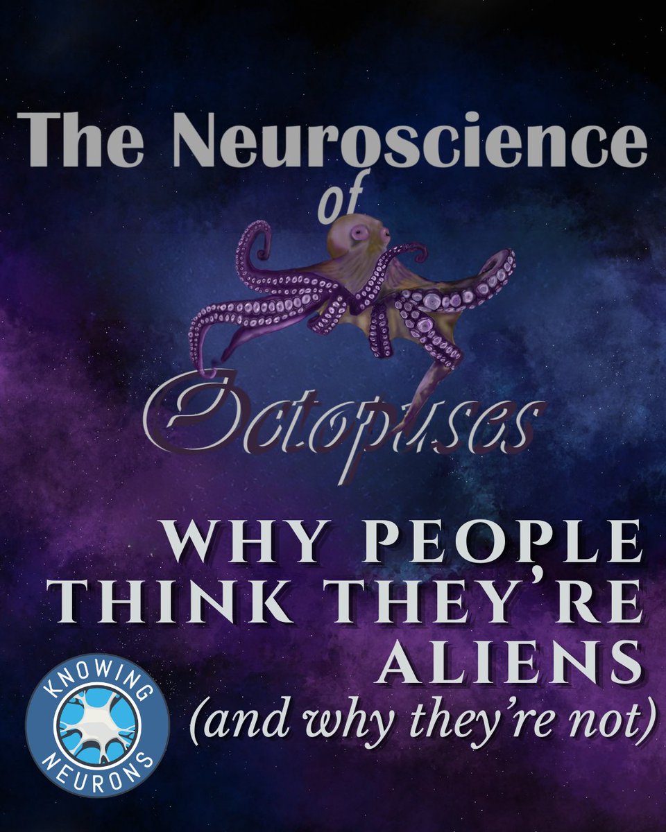 Knowing Neurons tweet media