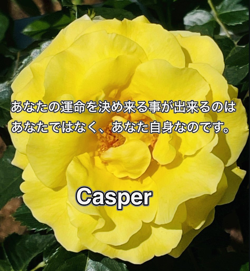 Casper95259831's tweet photo. 多くの方は結果を出している人を真似しようとします。しかし、真似して同じ結果を出せる人はいません。その事に気付いた人がそれぞれの結果を出せる人なのです。

誰かや、何かを問題としているうちは、現状を変える事など出来ません。

環境をかえても、仕事を変えても、付き合う人を変えても、それぞれの許容範囲の中の世界、そのフレーム(現状)は変わらないのです。

受け入れ難い話しかもしれません。しかし、その事に気付かない限り、あなたの世界は変わらないのです。

受け入れないように抵抗しているのは、あなたではなく、あなたの脳なのです。

あなたの運命は誰も決められません。

あなたの運命を決め来る事が出来るのはあなたではなく、あなた自身なのです。