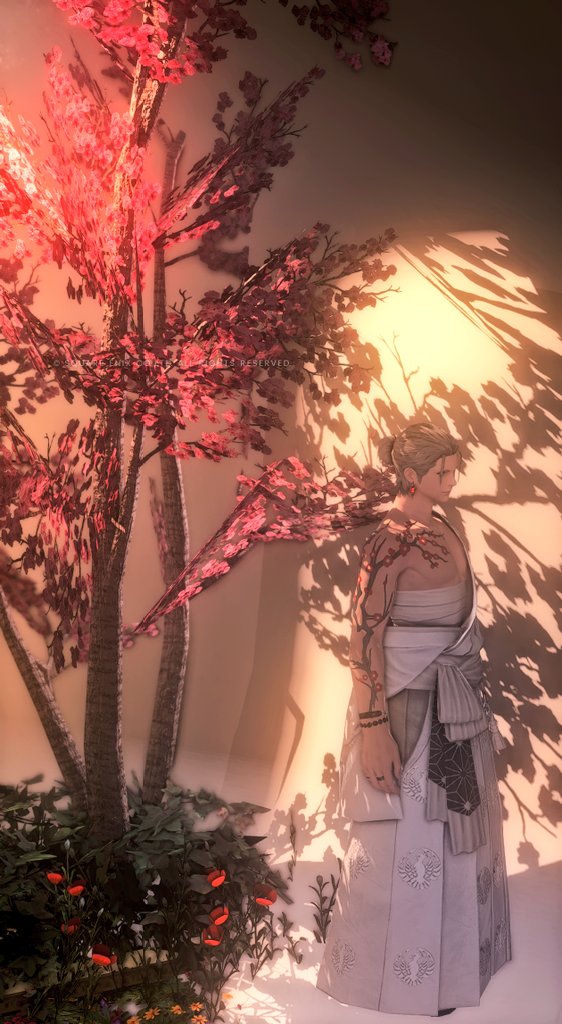 saku_nohi's tweet photo. おはよさん☀️ ” その傷を誇れ ”
撮影場所📸→ #OYUINCHI 様
#FF14 #ffxiv #おはミド https://t.co/ibz22liWyA