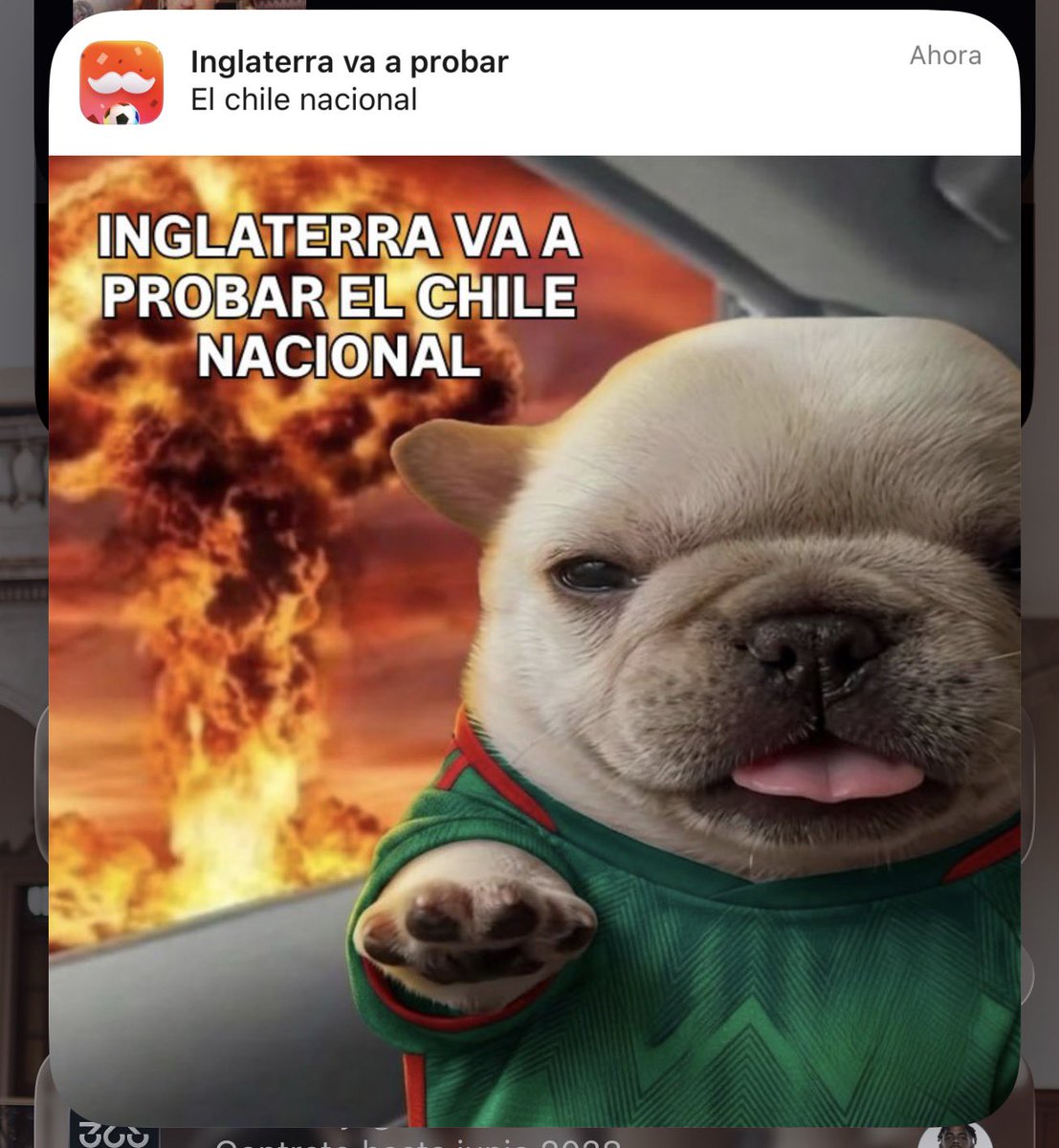 Diana_Guerrerol's tweet photo. Lo que esta haciendo @RappiMexico para el partido del domingo, es UNA COSA BÁRBARA! 😂😂 súbanle el sueldo al de MKT!!!!

#mundial #MéxicovsInglaterra #trend #Marketing #FIFA https://t.co/iSPhGrw7iE