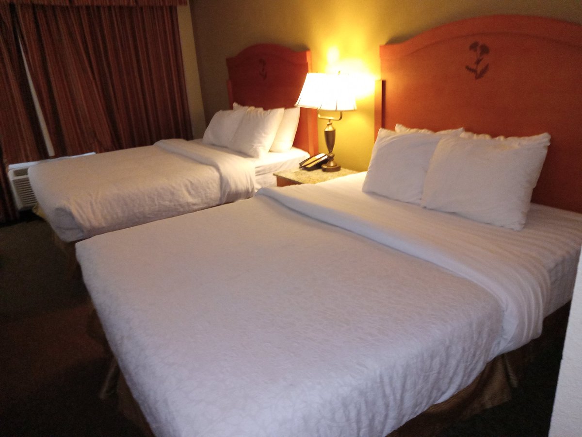 JOHNBROUMAS's tweet photo. Richmond BC Thursday July 2 2026 my 2 Queen Beds Hotel room today. Breakfast at the Hotel. Central Mall Walmart shopping today. McDonalds 2 Cheese Burgers,Free Ice Cream 🍦 today. Chips Dr Pepper 6 pack, Chocolate Bars 2 for Toronto Blue Jays baseball today. 🙂🥚🥞🧁🍌🍔🍟🥤🍫⚾ https://t.co/5ocnv4iETh