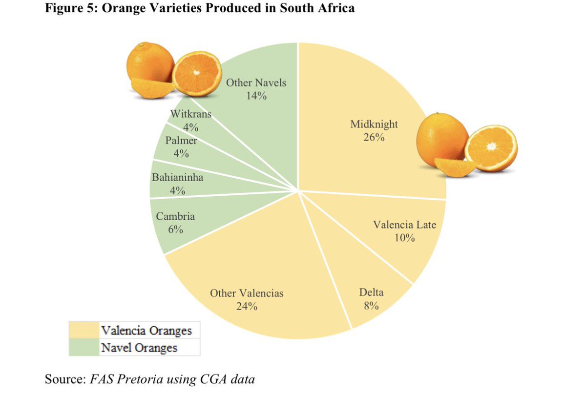 WandileSihlobo's tweet photo. 🇿🇦🍊🇿🇦 https://t.co/BRLVNqFv8A