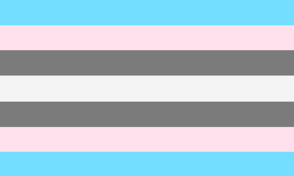 cruelAspiration's tweet photo. Pride flag for perverted incels that started taking estrogen https://t.co/wkdDUWO673