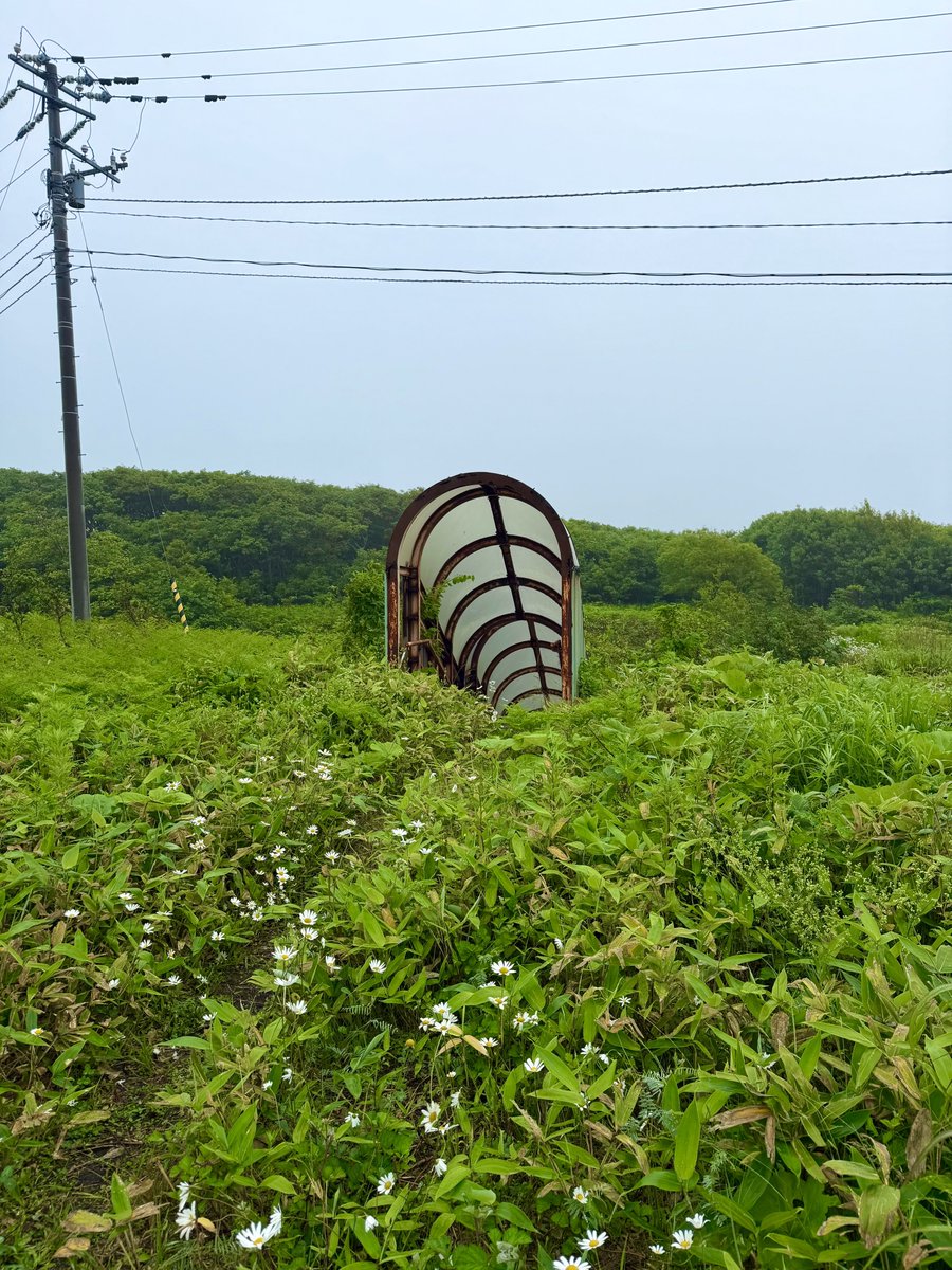 ruins_fictional's tweet photo. 世界の果てに存在する、異世界への出入り口。

#廃墟 #廃線 https://t.co/8iPPxDuHIP