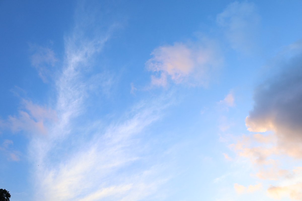 Minami0206S's tweet photo. おはようございます
現在20度で気持ちの良い朝です
#朝焼け雲
#ケサソラ https://t.co/Tq69kVvZkI