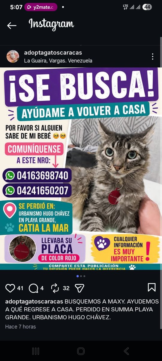 AliceeProAnimal's tweet photo. SE BUSCA MAX‼️‼️
URBANISMO HUGO CHÁVEZ, PLAYA GRANDE, CATIA LA MAR.

POR FAVOR DIFUNDE.🐱🐱🐱 https://t.co/xJpBeLmHSh
