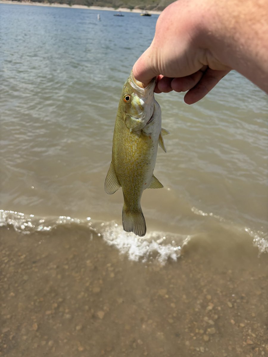 Wolf54Fox's tweet photo. I love fishing being outside makes me happy https://t.co/uJio2usfiV