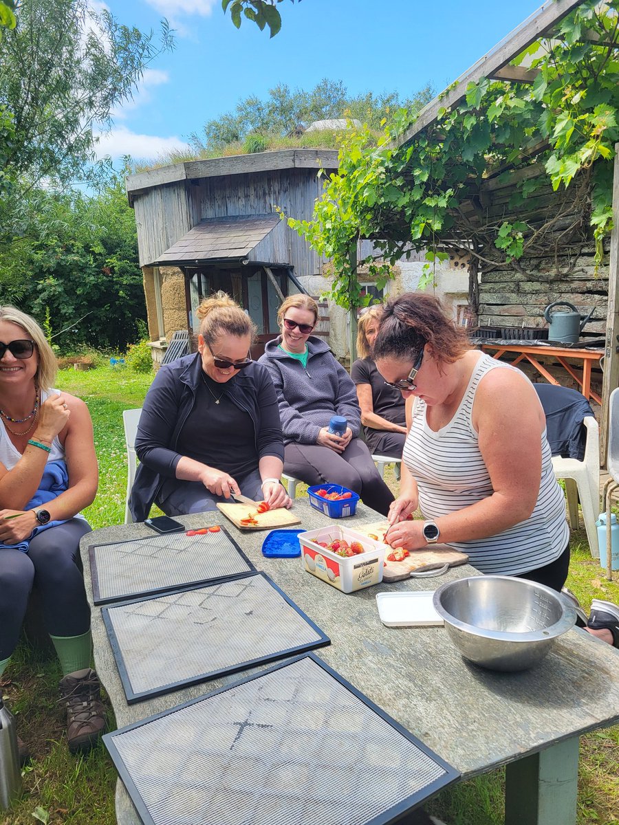MsDaggsClass's tweet photo. @blackrockesc Summer course in @carraigdulra Day 2. Tested soils, planned seeds, potted on seedlings, dehydrated strawberries and learned more about making natural fertilisers from comfrey and nettles. Great fun & very educational. #edchatie https://t.co/NUIDzHPgHJ