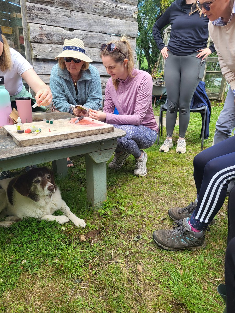 MsDaggsClass's tweet photo. @blackrockesc Summer course in @carraigdulra Day 2. Tested soils, planned seeds, potted on seedlings, dehydrated strawberries and learned more about making natural fertilisers from comfrey and nettles. Great fun & very educational. #edchatie https://t.co/NUIDzHPgHJ