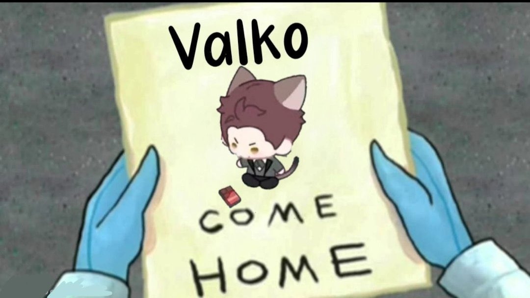 bringbackvalko tweet media