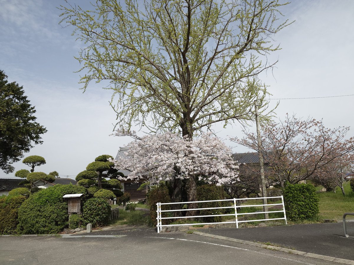 hiro5936's tweet photo. Ｎｏ．１０７
①眞宗大谷派 大日寺さま
②大分県中津市
③令和8年04月06日(月)撮影
④ 🗣️✨南旡阿彌陁佛✨👂
#お寺の掲示板大賞2026 https://t.co/5fQ0YSIYI9