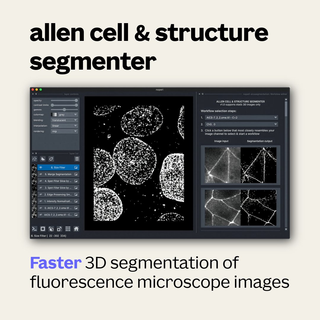 AllenInstitute's tweet photo. Spend less time processing cell images with the Allen Cell Structure Segmenter.
This #OpenScience python-based toolkit helps #cellscience researchers navigate complex images by automatically capturing the boundaries of structures.
Access at: https://t.co/2tIOE10eKg https://t.co/cZhQQnnoNC