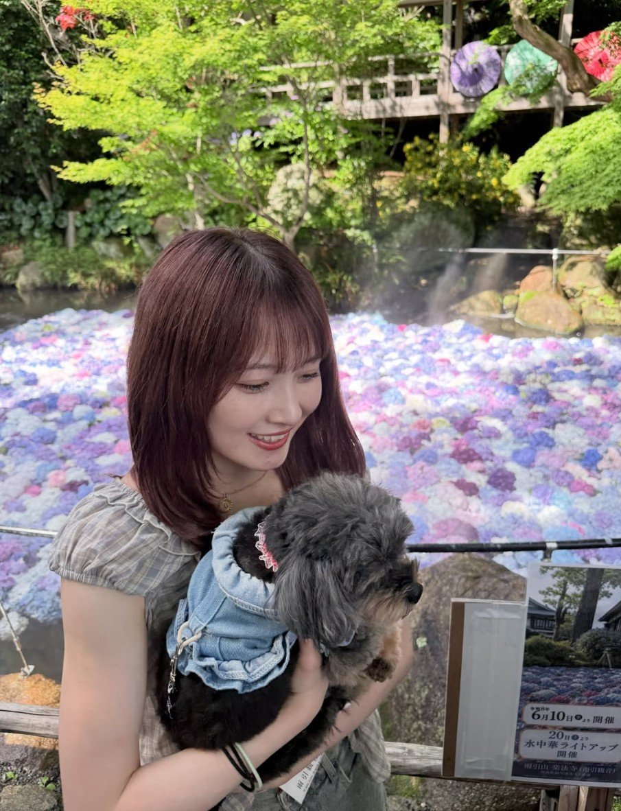 ぽんちゃん