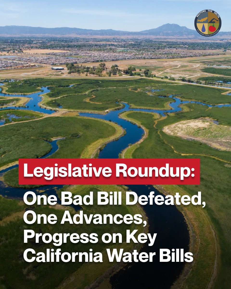 RestoretheDelta's tweet photo. 💧 Legislative Roundup: Progress on Key California Water Bills

This week several critical water bills that Restore the Delta has been tracking were heard in the Legislature this week – click below to read key updates. 

🔗 Read more: https://t.co/jFHeg7Jk2I https://t.co/3zivIDlB3Z
