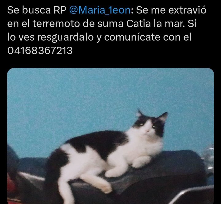 AliceeProAnimal's tweet photo. URGENTE SE BUSCA‼️‼️
CATIA LA MAR.

DIFUNDE POR FAVOR 🐱🐱🐱🐱 https://t.co/7JKqu0GUX8