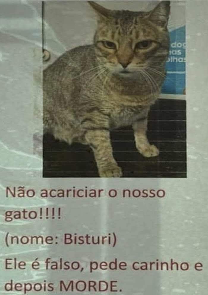 shitpostverdade's tweet photo. https://t.co/Yz31OhjTBq