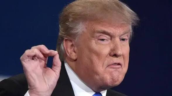 SoyGaby1302's tweet photo. #2Jun || Franklin Virgüez Sádico y Asqueroso ahora si te pasaste, Donald Trump no van a permitir que le arranques a él su Título de P E D O F I L O !! https://t.co/pITlP4Vnbh
