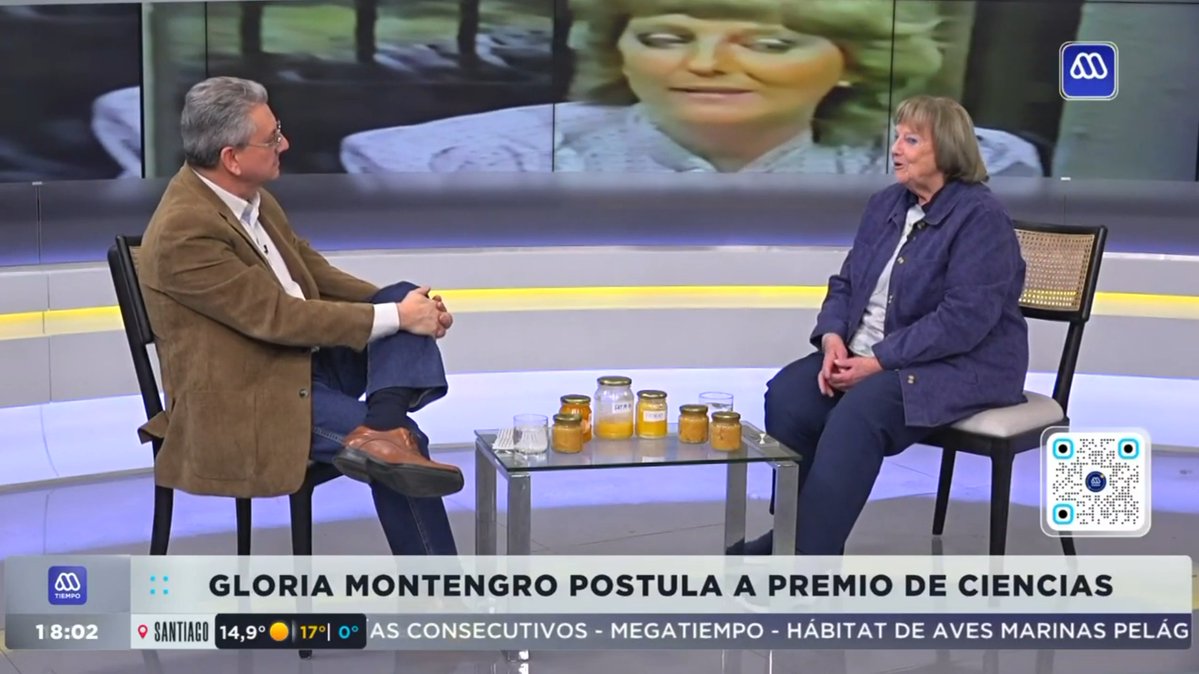 AgronomiaUC's tweet photo. 📺📻🗞 #AgronomíaySistemasNaturalesUCenlosMedios | Profesora Gloria Montenegro entrega más detalles sobre su postulación al Premio Nacional de Ciencias Aplicadas y Tecnológicas 2026. 

Medio: @Mega 

Más información: https://t.co/fQjkW0dAat https://t.co/zhyDj2aesy