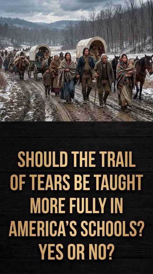 Support Native Americans tweet media