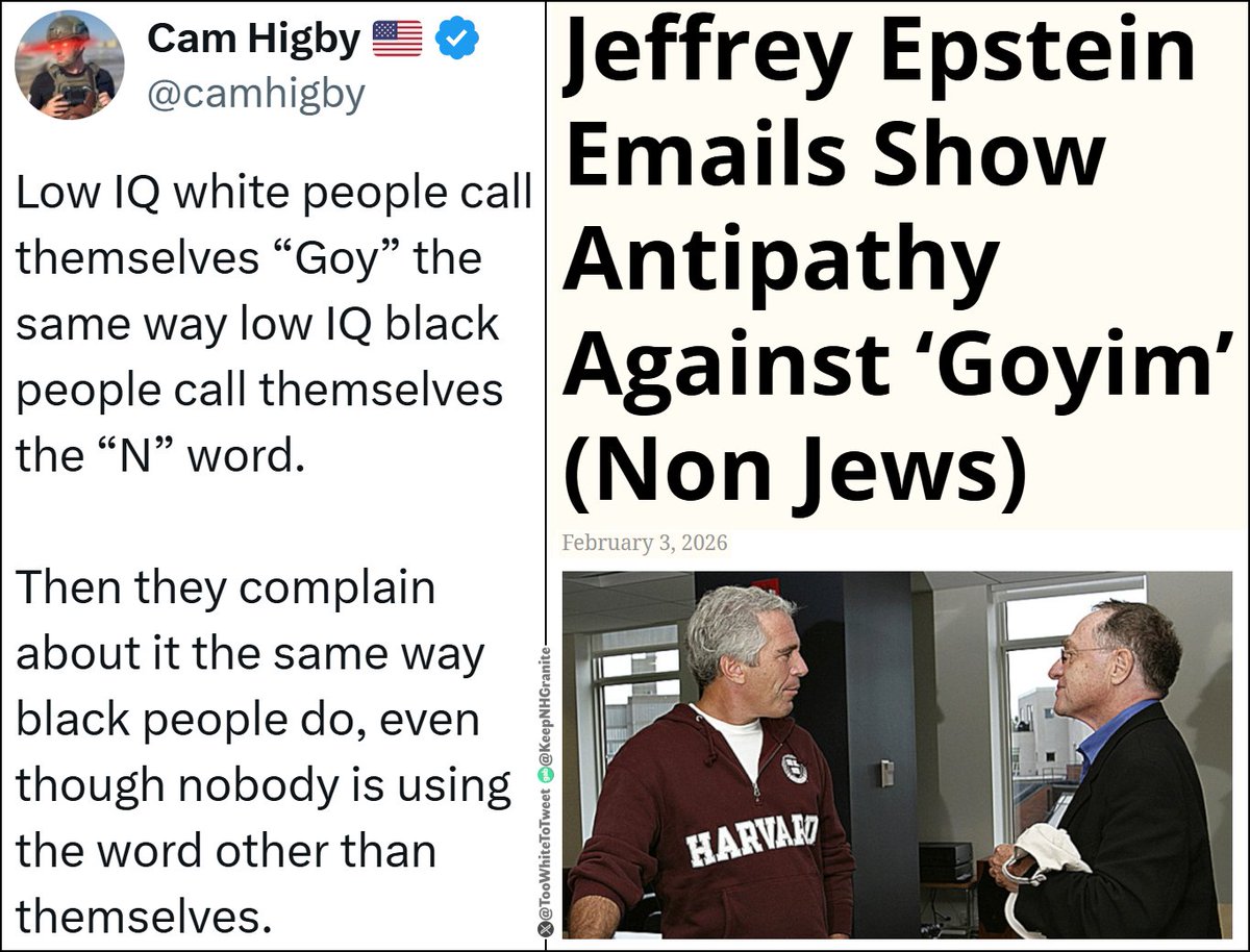 TooWhiteToTweet's tweet photo. "Nobody says goy, goy. You're only goying yourself!"
- Cam Zogby https://t.co/B37LIE3H7r