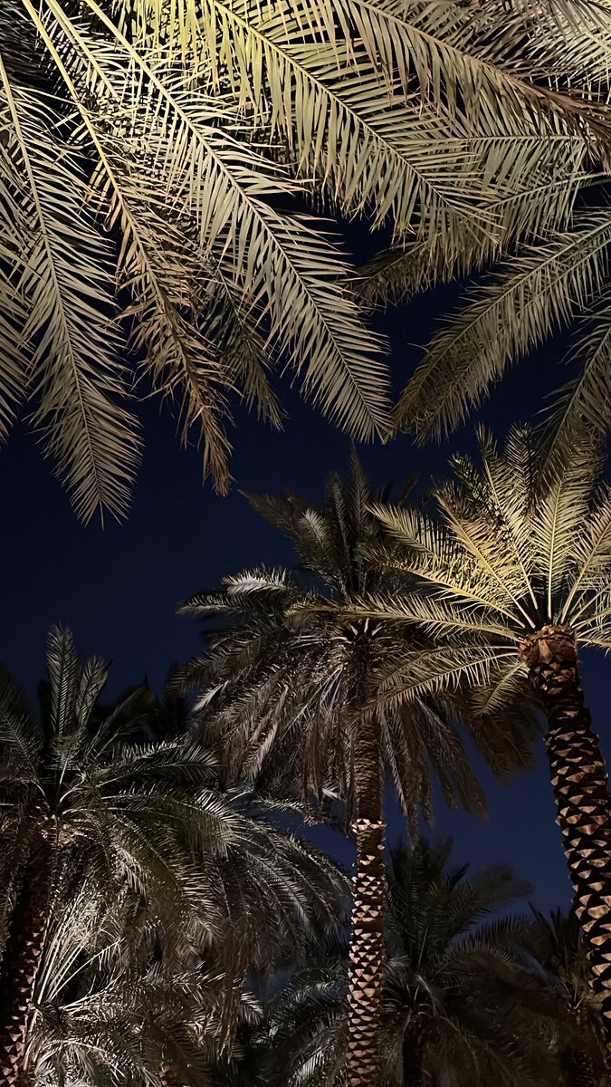 dlyiofeli's tweet photo. استميل لـ عزلتي وأبعد ولا عندي سبايب
غير حبّي للهدوء  .. اللي عن اللجَّة مبدَّا https://t.co/T7AcO0l6IV