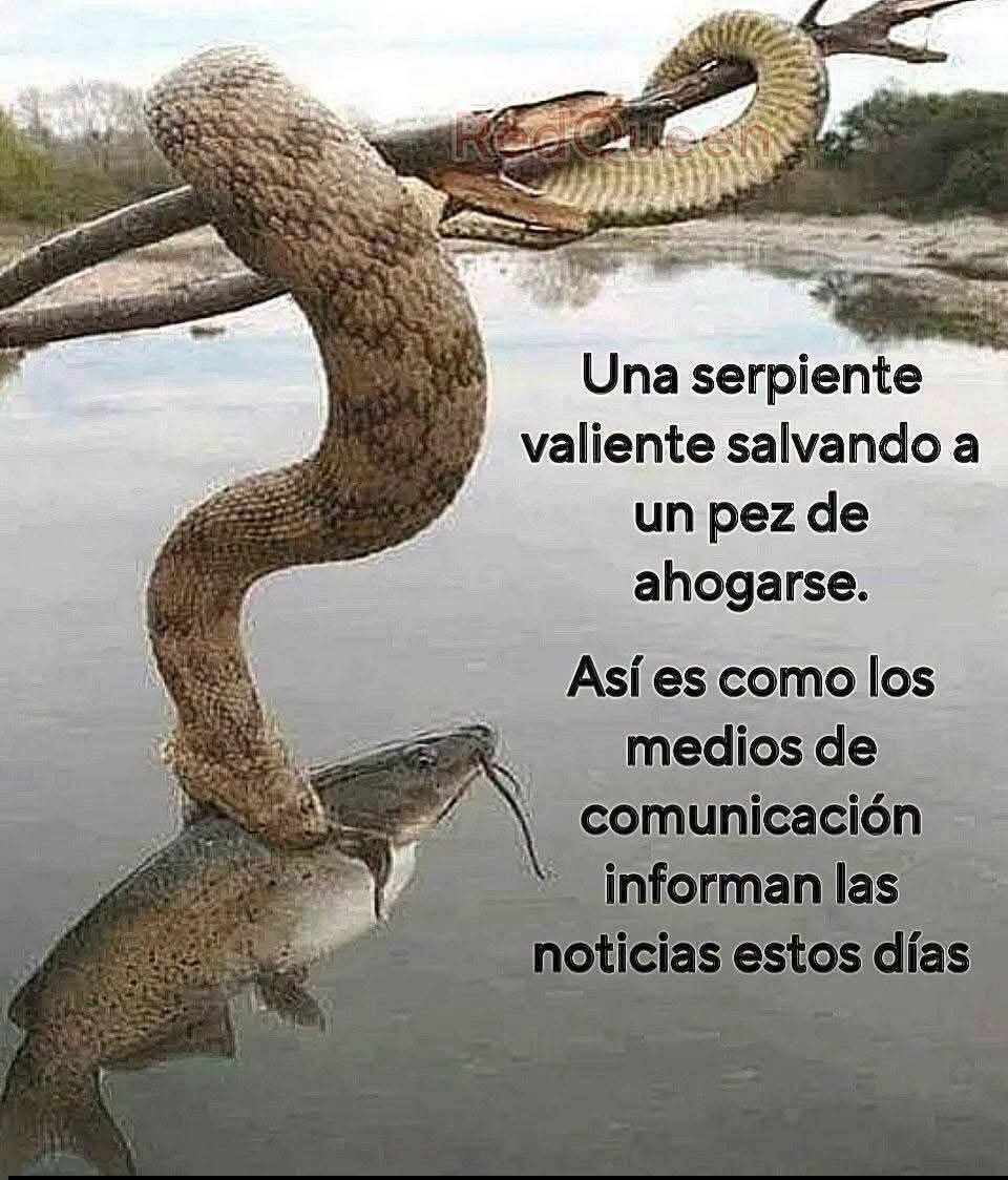 Homero Rivas tweet media