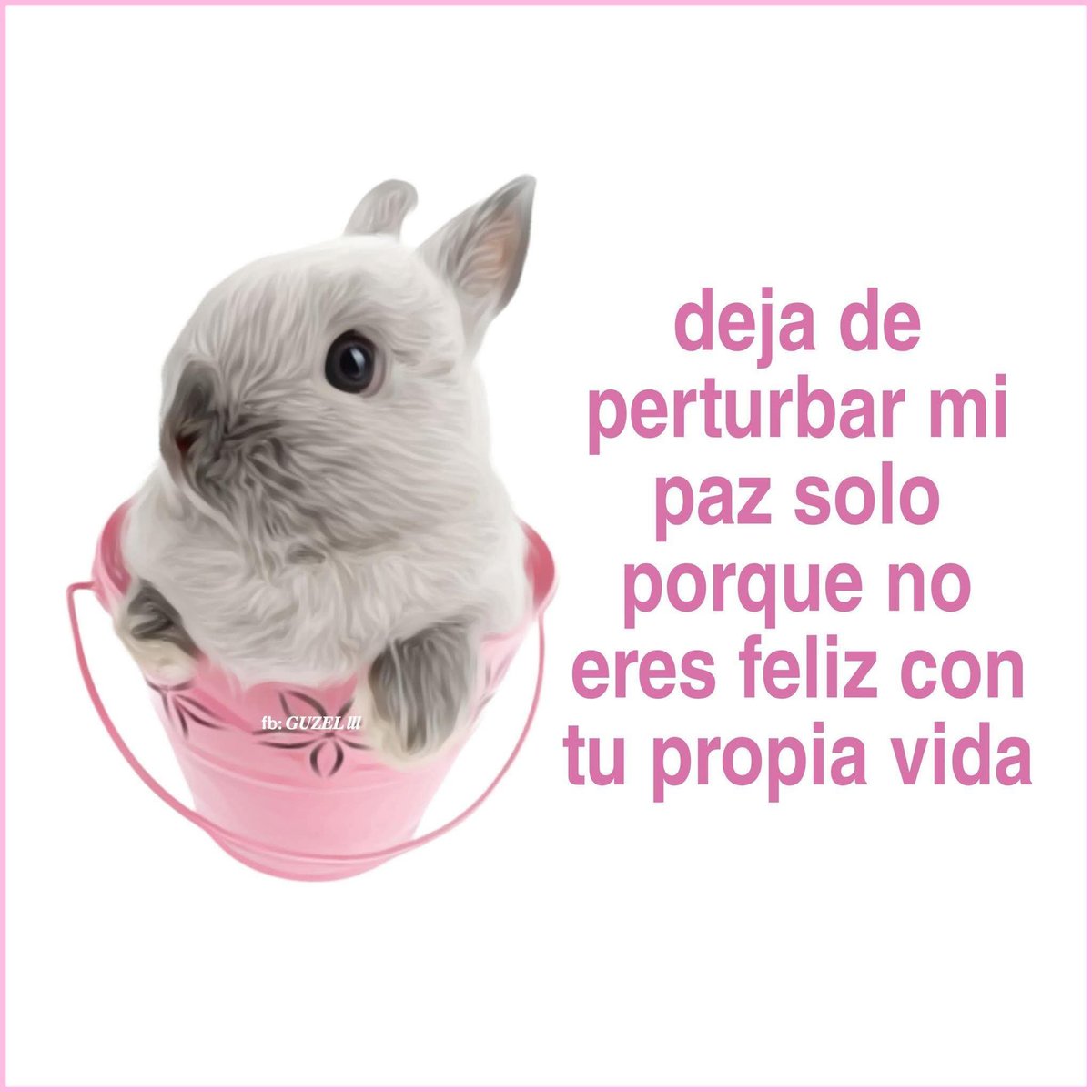 ojoscol0rsol's tweet photo. https://t.co/wzvZBUWYK1