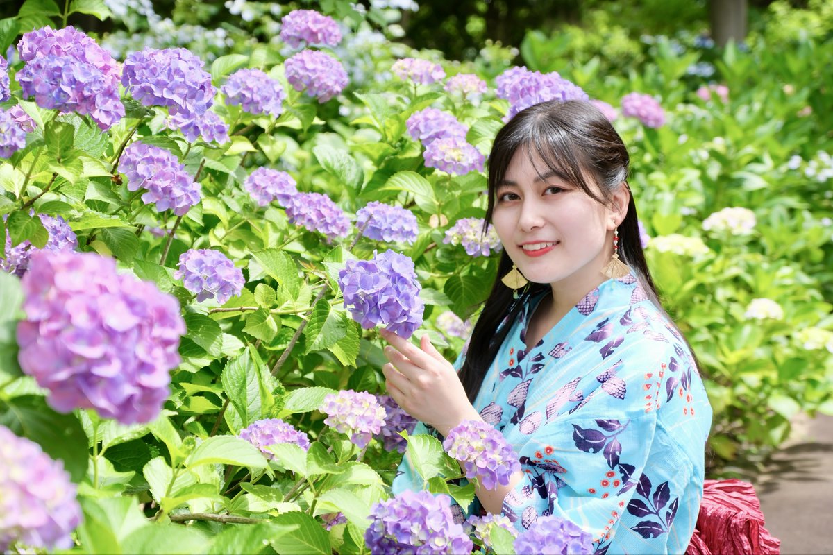 nobuo_photo's tweet photo. りんちゃんと紫陽花ポトレ

凜々♔.ﾟ  @rinrin_tweet_ 

#紫陽花 https://t.co/ykxtjw1JwS