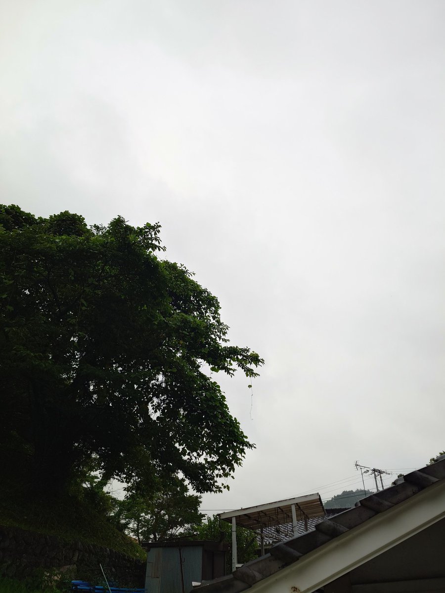 itoutosouten's tweet photo. おはようございます!
梅雨時の天気は予報通りにいかないものですが、今日は外せない!と思っていたのに・・・まぁ仕方ないですね。
それでは皆様、今日もご安全に!
#おはよう
#GoodMorning
#Blessyou https://t.co/DU8ds5eGcW
