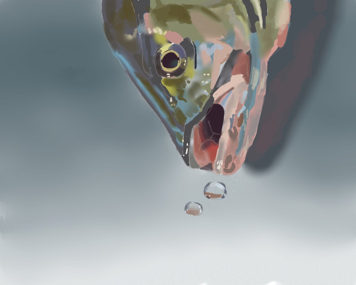 IgXb7's tweet photo. 一日で描くリアル絵画の基本から https://t.co/w33PPT1kRk