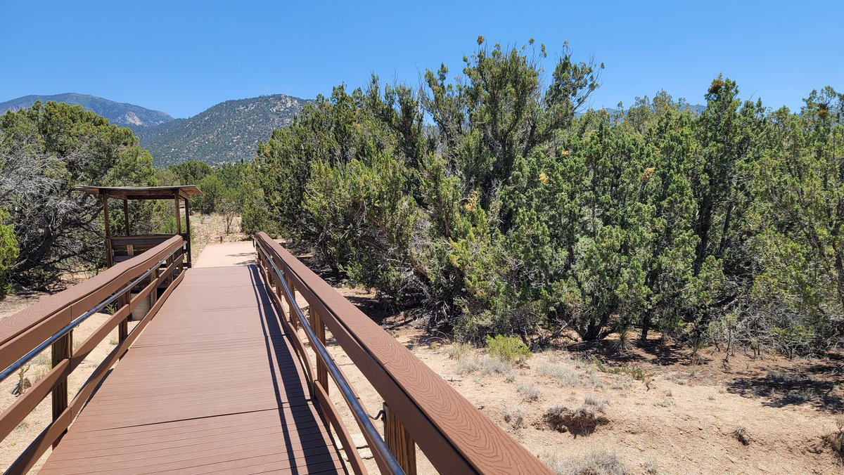 BenHansen00's tweet photo. The search for General McCasland resumed in the Sandia Mountains last week. I hiked there today. I underestimated the density of some vegetated areas just 1 mile from his house. If that's where he went, I do think it's possible that evidence may take a very long time to find. https://t.co/UtQ8mq5huR
