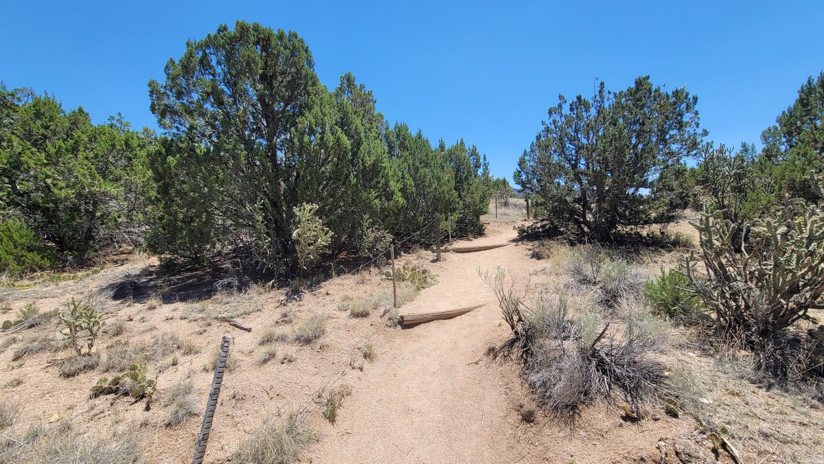 BenHansen00's tweet photo. The search for General McCasland resumed in the Sandia Mountains last week. I hiked there today. I underestimated the density of some vegetated areas just 1 mile from his house. If that's where he went, I do think it's possible that evidence may take a very long time to find. https://t.co/UtQ8mq5huR
