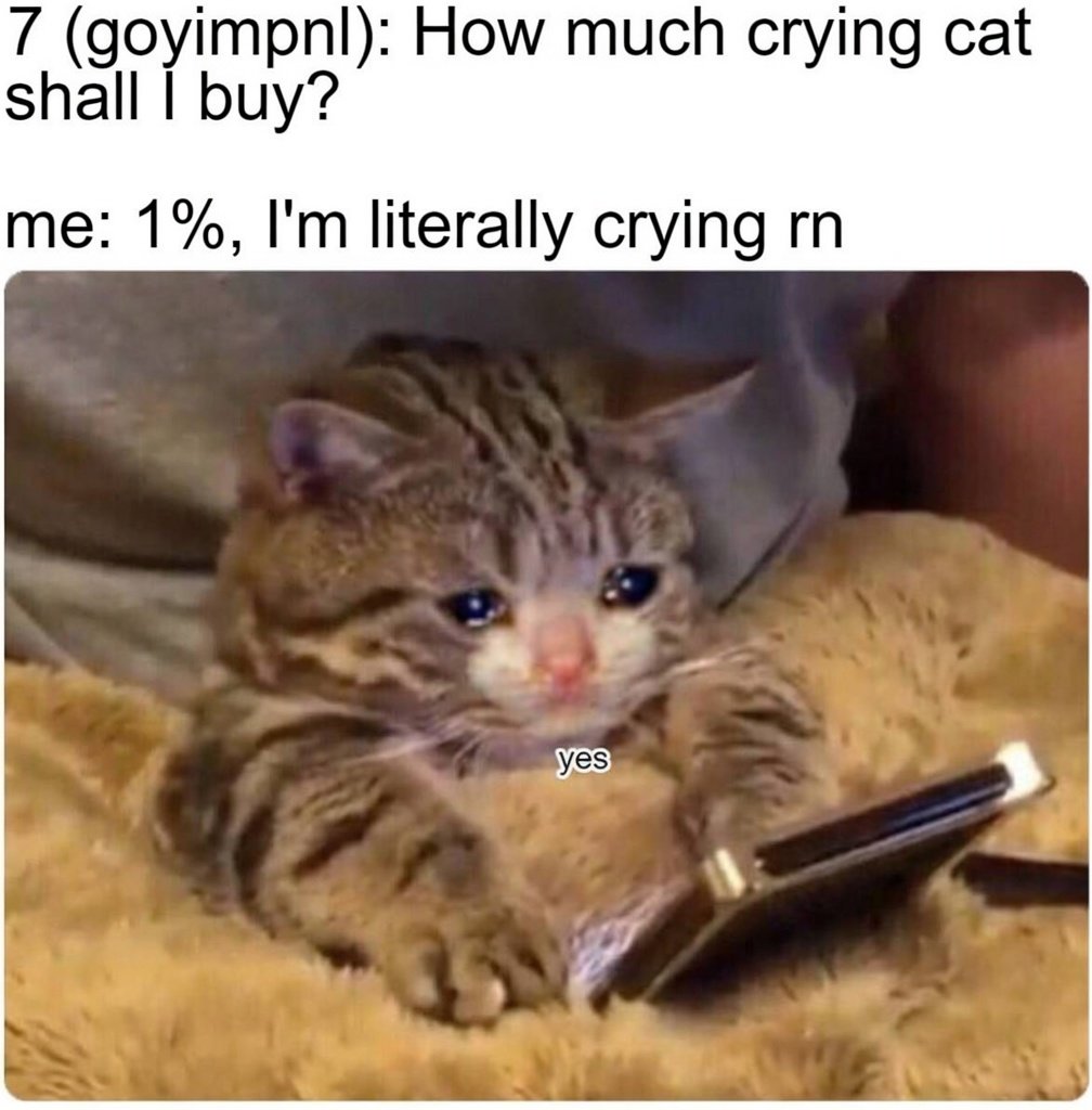 cryingcatsol_'s tweet photo. Hello @goyimpnl 😿 https://t.co/757WbNV2Uw