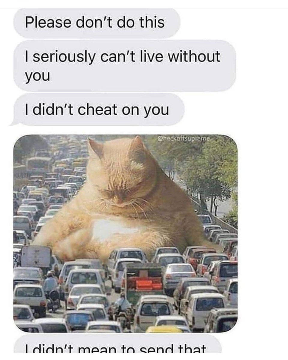 PunchingCat's tweet photo. https://t.co/pdSiO2ENdM