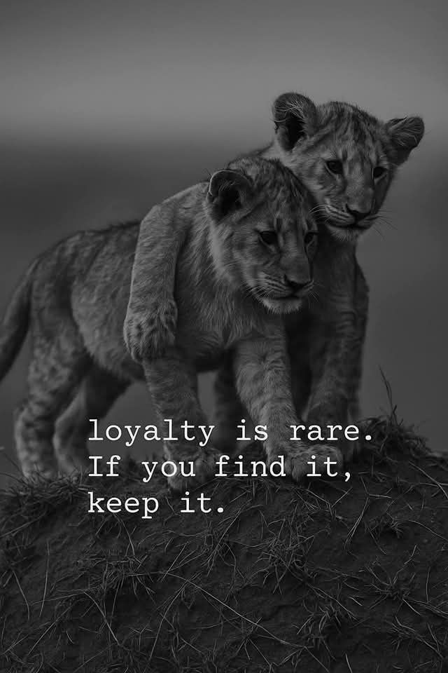 QuotesShare's tweet photo. Loyalty is rare. If you find it, keep it.
#Loyalty #RealOnes #TrueRelationships #KeepItReal #LoyaltyMatters #RareBond #TrustAndLoyalty #Quotes #ShareInspireQuotes https://t.co/KCI9F3FSm4