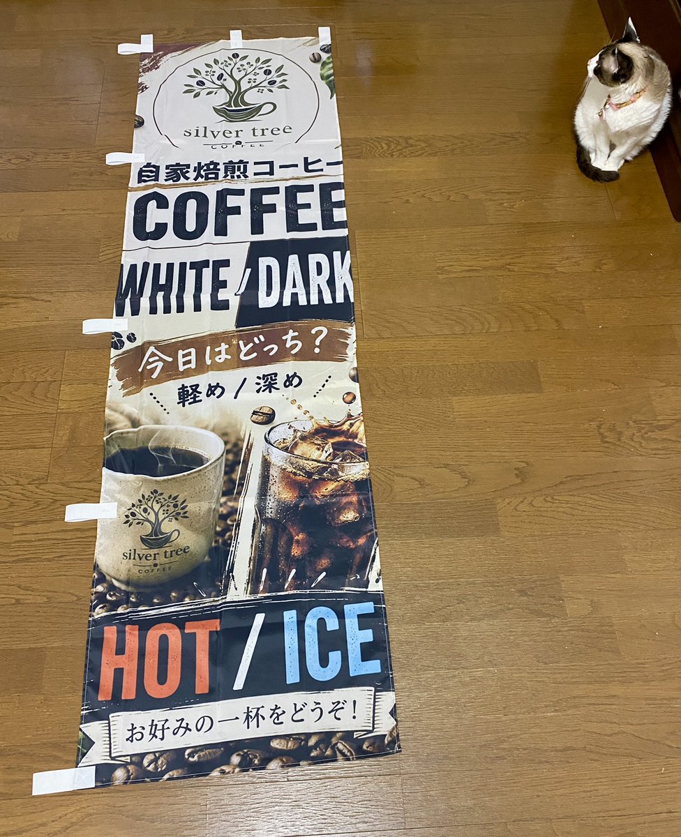 hidebo42's tweet photo. 知人がプレゼント🎁してくれました😭

何屋さんか直ぐわかるね☕️

猫ちゃんも見てるわ🐈 https://t.co/nn8JlIUErK