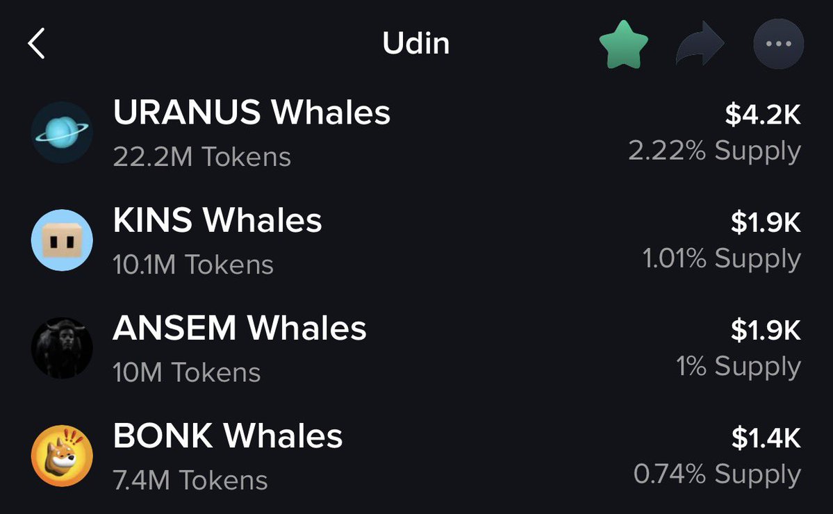 Maverickdotsol's tweet photo. whales are finding $UDIN 🐋🧠 https://t.co/KKbhQGu0gd