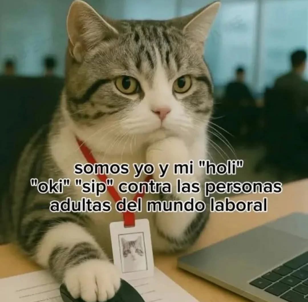 En Júpiter tweet media