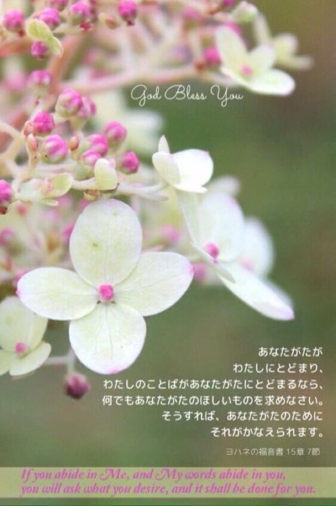 Seonny2's tweet photo. あなたがたがわたしにとどまり、
わたしのことばがあなたがたにとどまるなら、何でもあなたがたのほしいものを求めなさい。そうすれば、あなたがたのためにそれがかなえられます。 https://t.co/kM8TgI5XNK